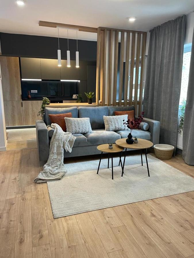 Palas Loft Iasi Extérieur photo